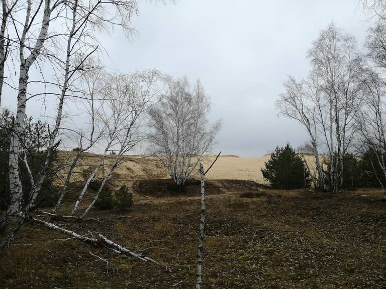 Wanderdüne Jüterbog, TeltowFläming Wandertipps & Fotos Komoot