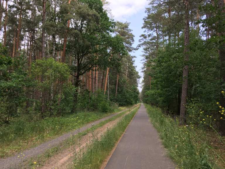 Körbaer Teich Radtouren und Radwege komoot