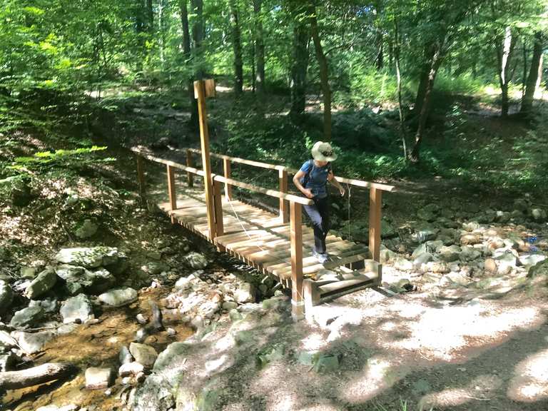 Belle montée vers la source de la Géronstère Itinéraires de rando et marche Komoot