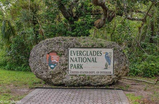 Large rock sign in a lush green forest setting.