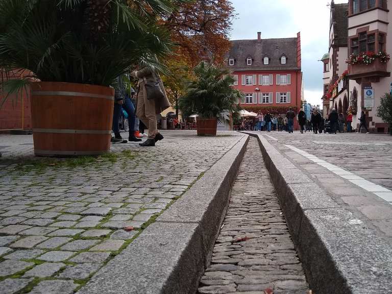 Mariensteg (Neue Unterführung) Auf dem DreisamRadweg