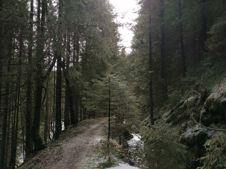 Alter Grabenweg Silbernaal Wanderungen und Rundwege komoot