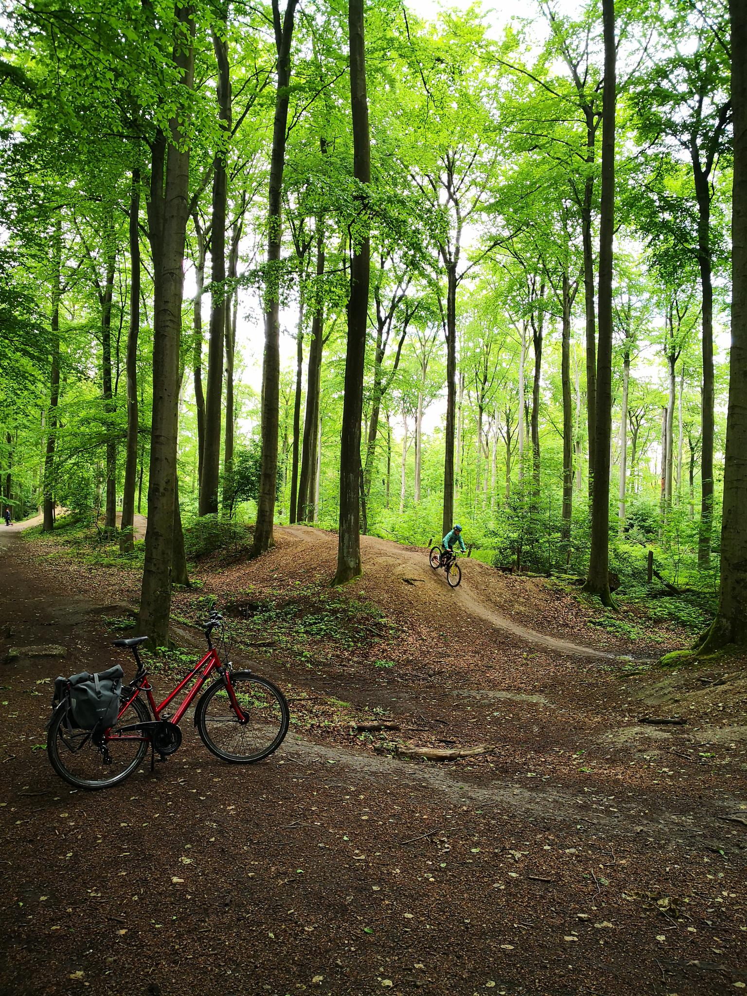 Runde Durch Den Aaper Wald – AAPER WALD Runde Von Mörsenbroich ...