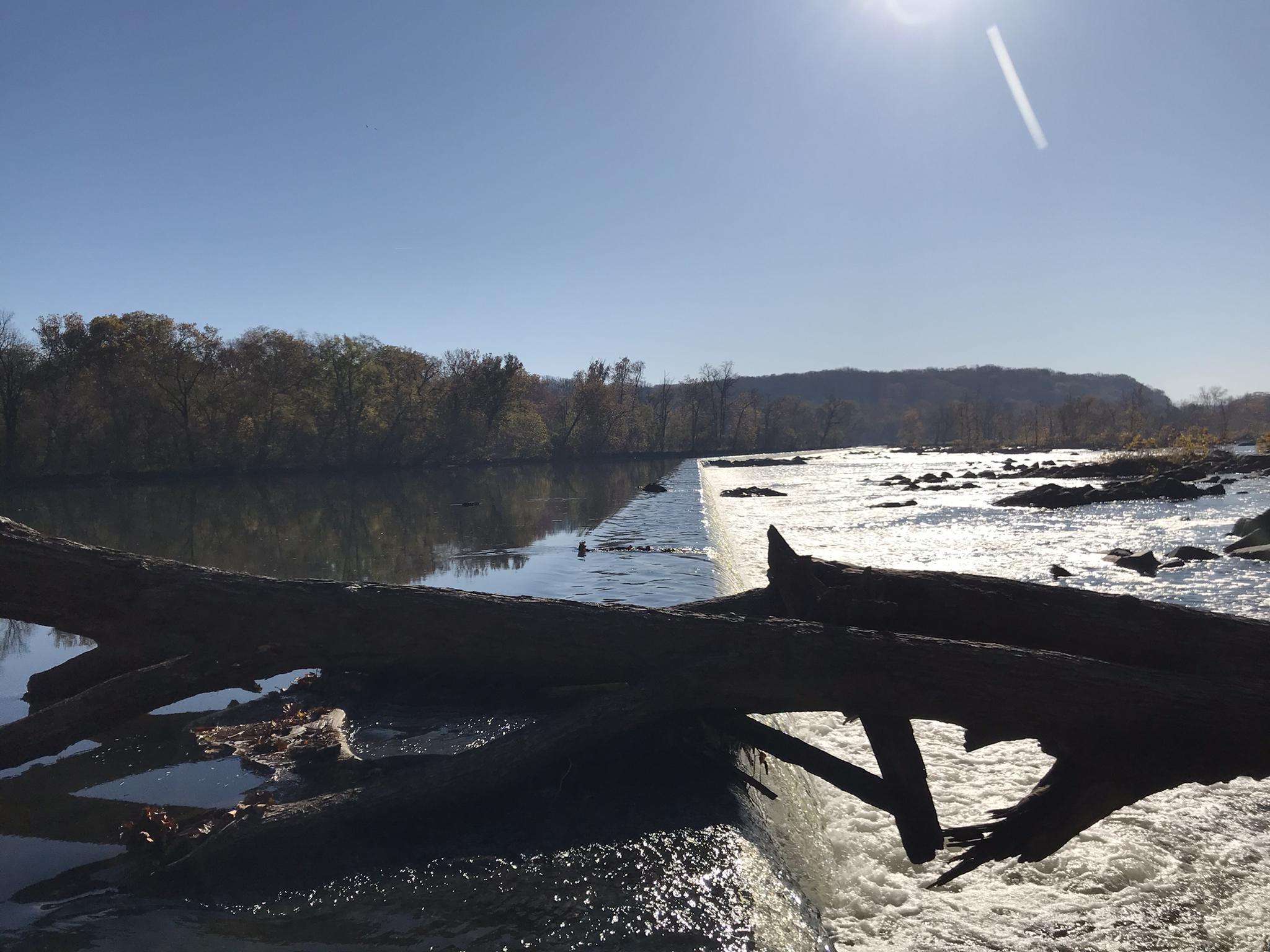 Sunny river scene with a low dam, fallen logs, and distant forested hills.
