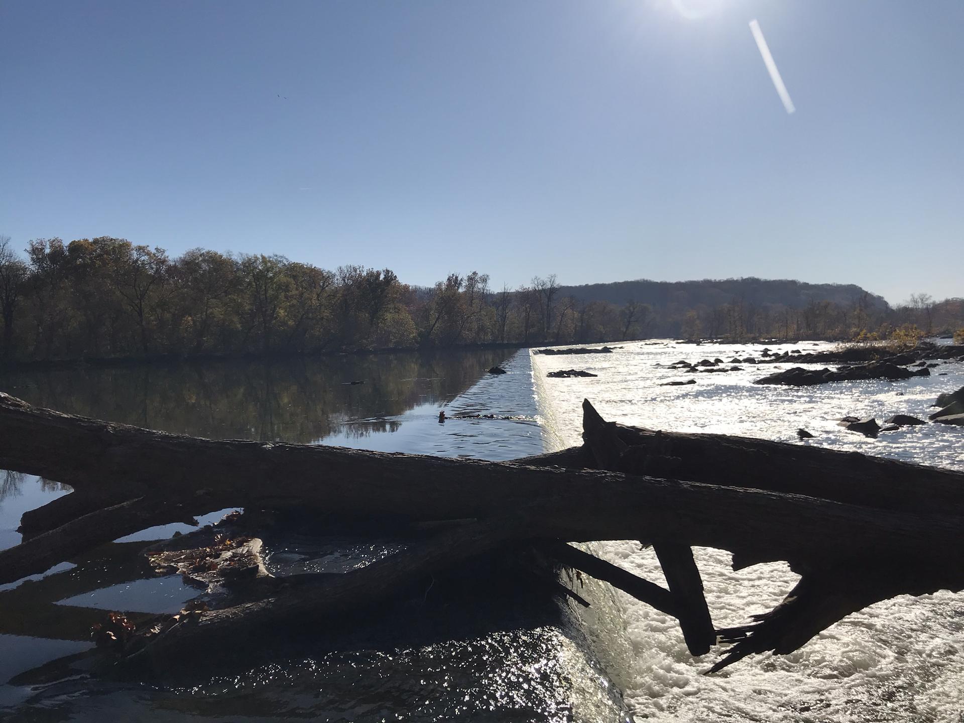 Sunny river scene with a low dam, fallen logs, and distant forested hills.