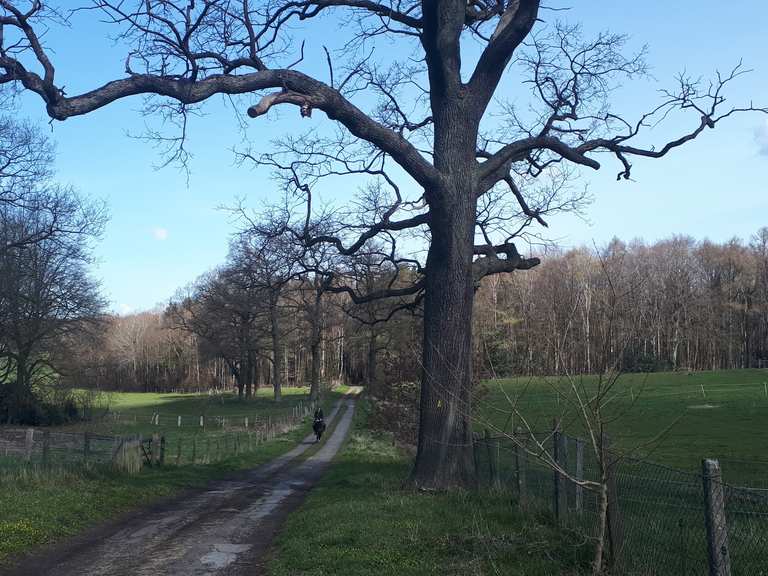 Lehnhofpark Friedehorst Bruns Garten Runde von BremenBurg