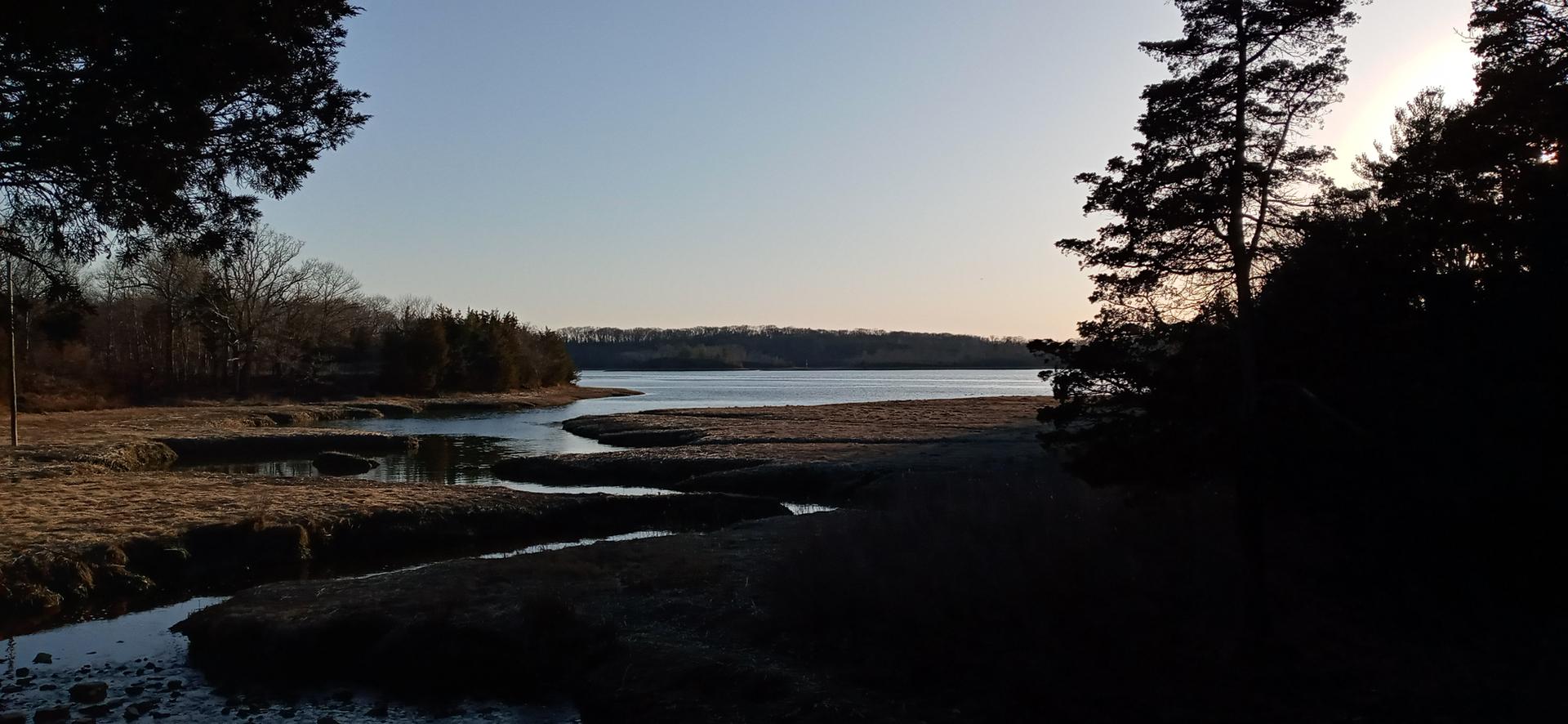 A tranquil water inlet at sunset, framed by dark silhouetted trees.