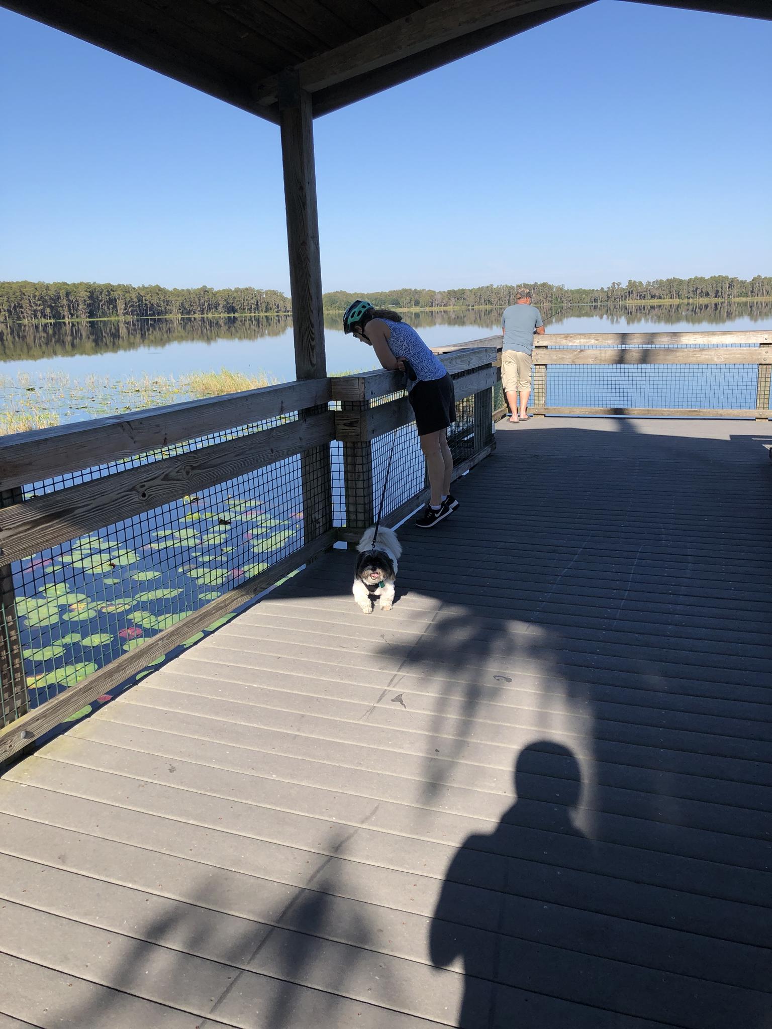 People and a dog on a sunny wooden dock overlooking a lake.