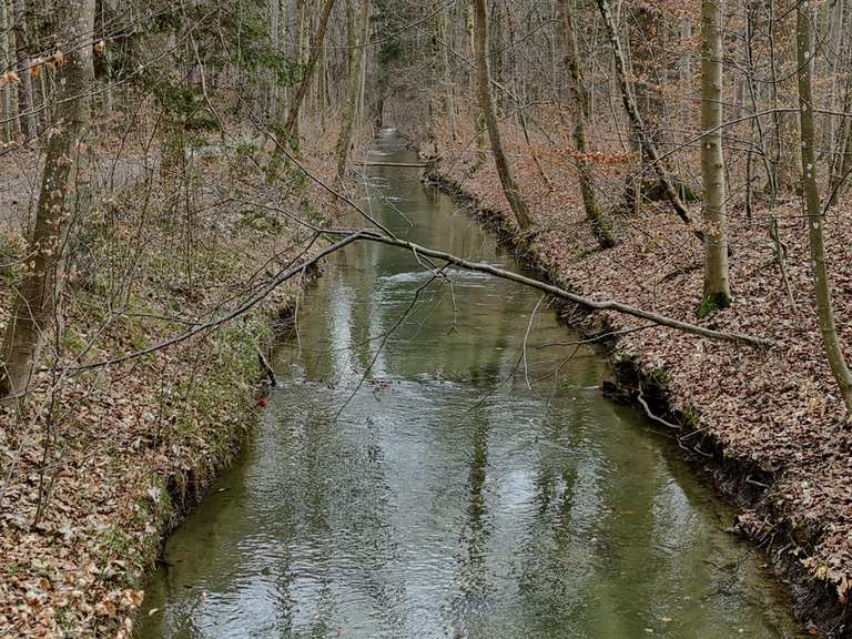 Siebentischwald Routes for Walking and Hiking | Komoot