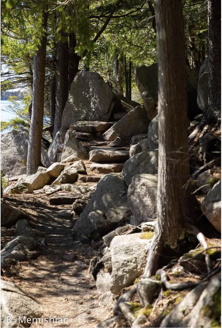 Rocky trail winding through a sun-dappled forest with large boulders.