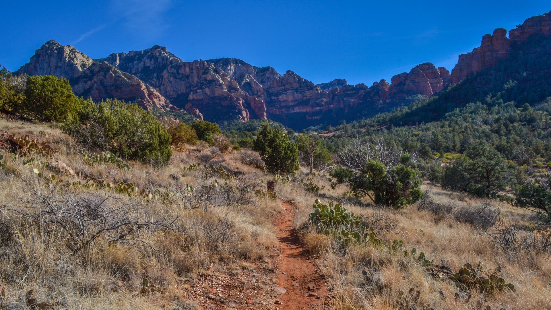 Dirt trail through desert brush leading to distant red rock mountains.