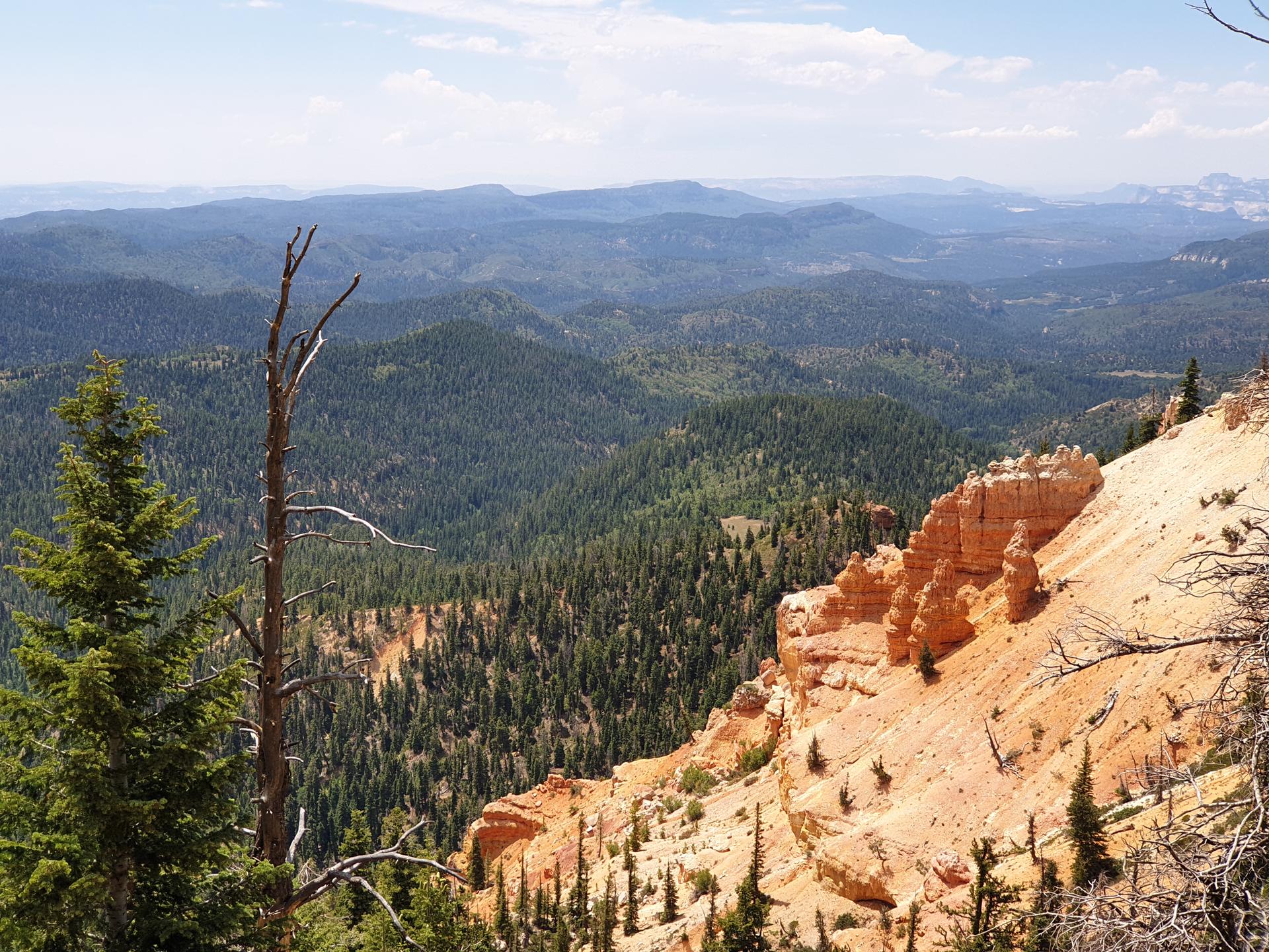 Panoramic view of a vast forested valley with red rock cliffs.