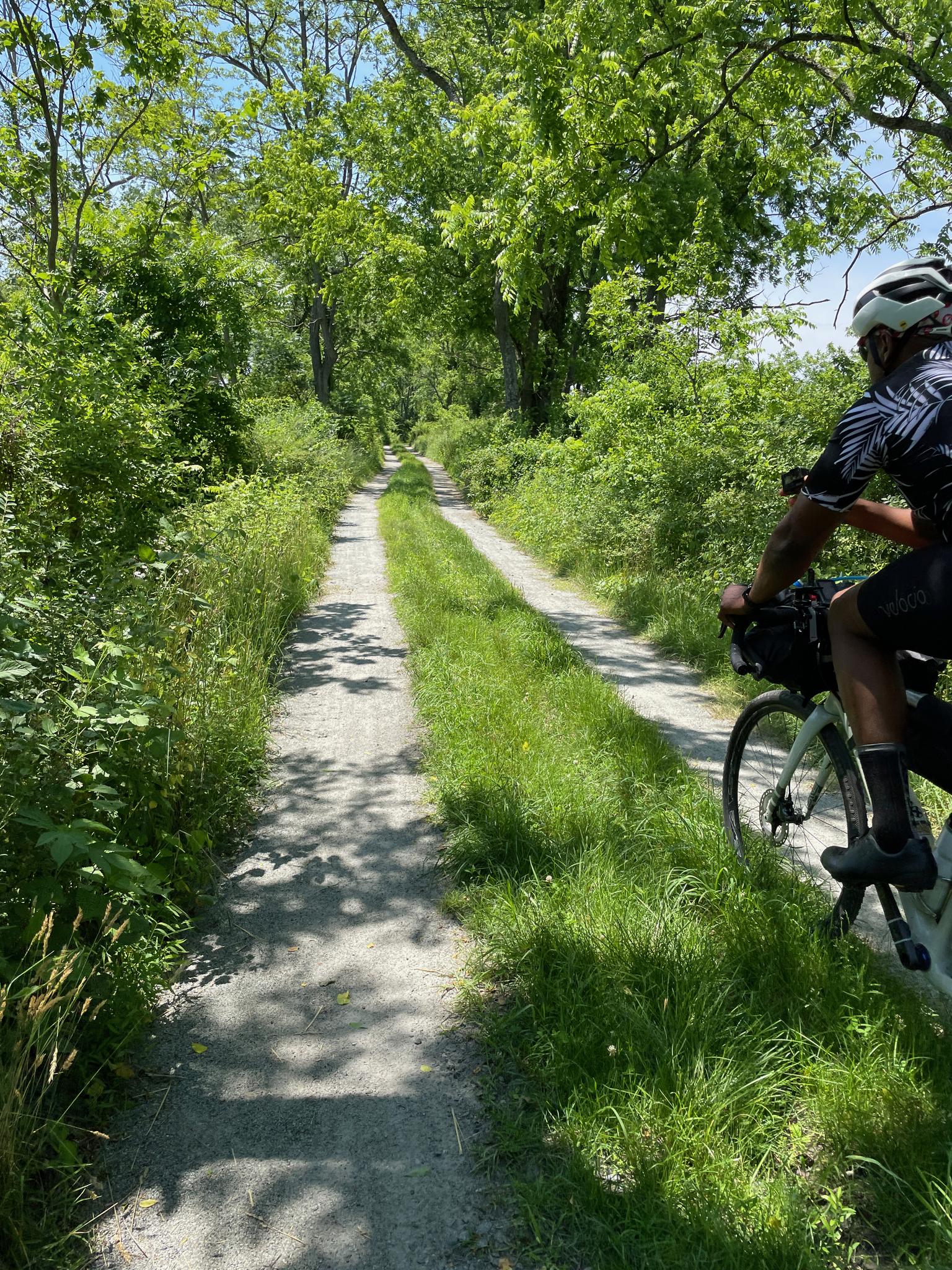 Cyclist on a gravel path through a sunny, green, wooded area.