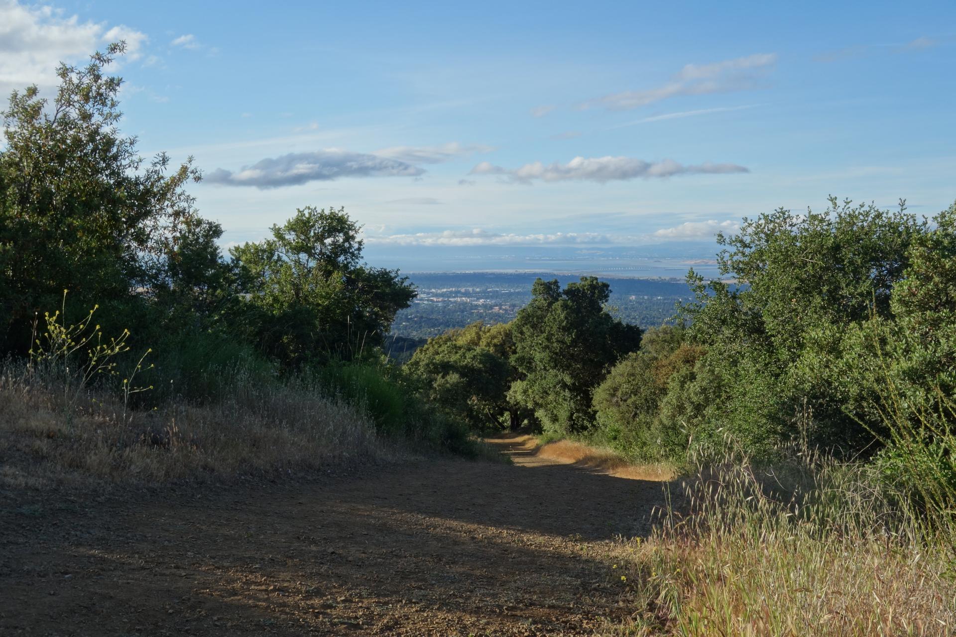Dirt path descends through green trees with a distant valley view.