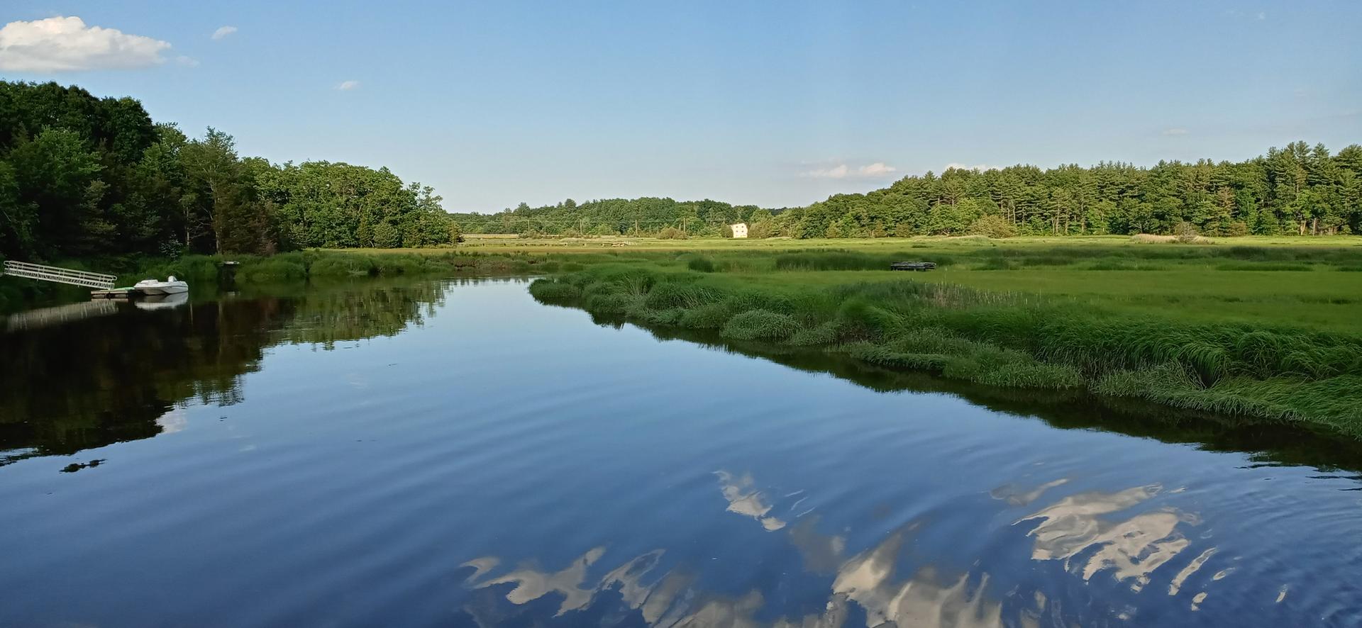 Calm river reflecting clouds, bordered by green trees and marshland with a boat.