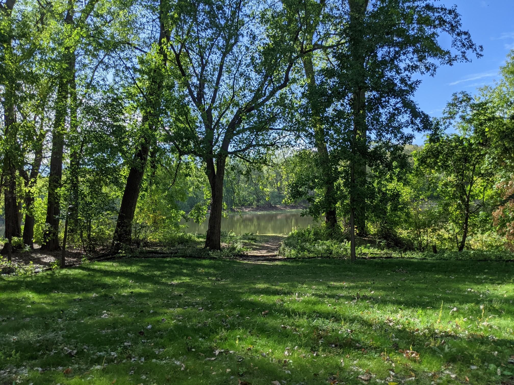 A grassy clearing leads to calm water surrounded by dense green trees.