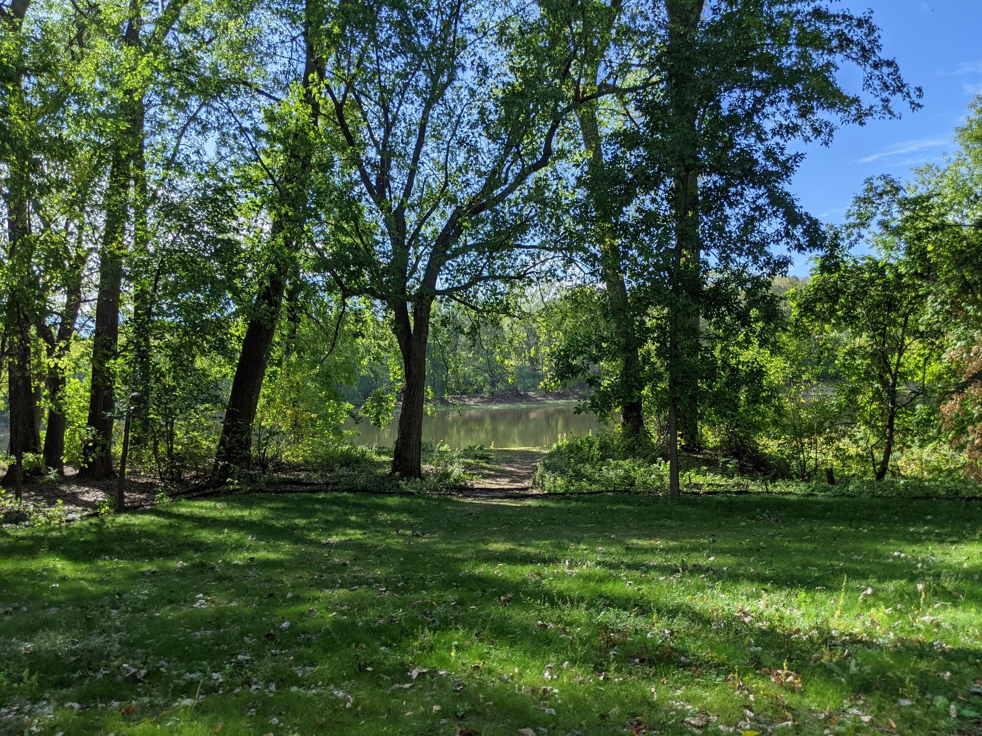 A grassy clearing leads to calm water surrounded by dense green trees.