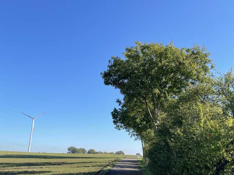 Straßenbegleitender Radweg Rennradfahren und Rennradtouren komoot