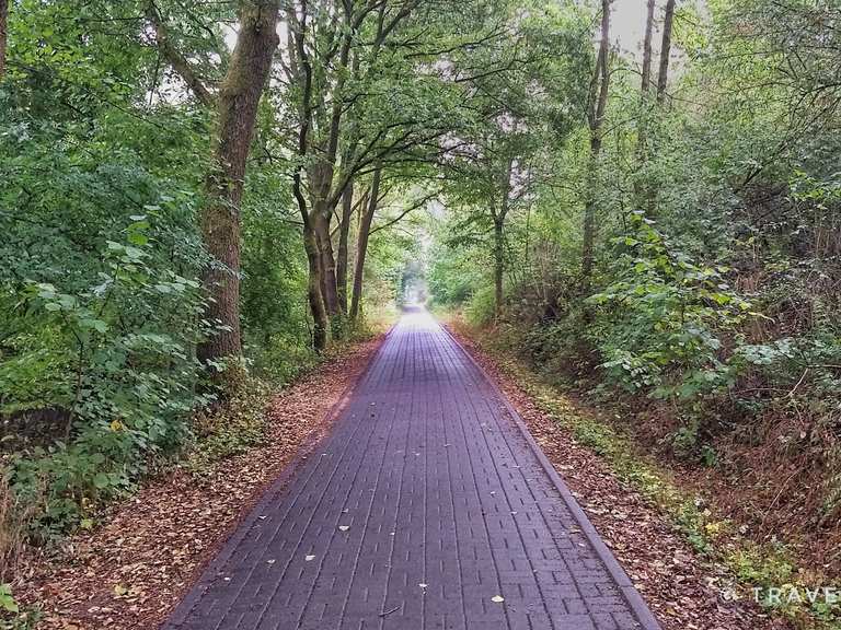 Blick über Rönshausen Fuldatal Radweg bei Eichenzell Runde von
