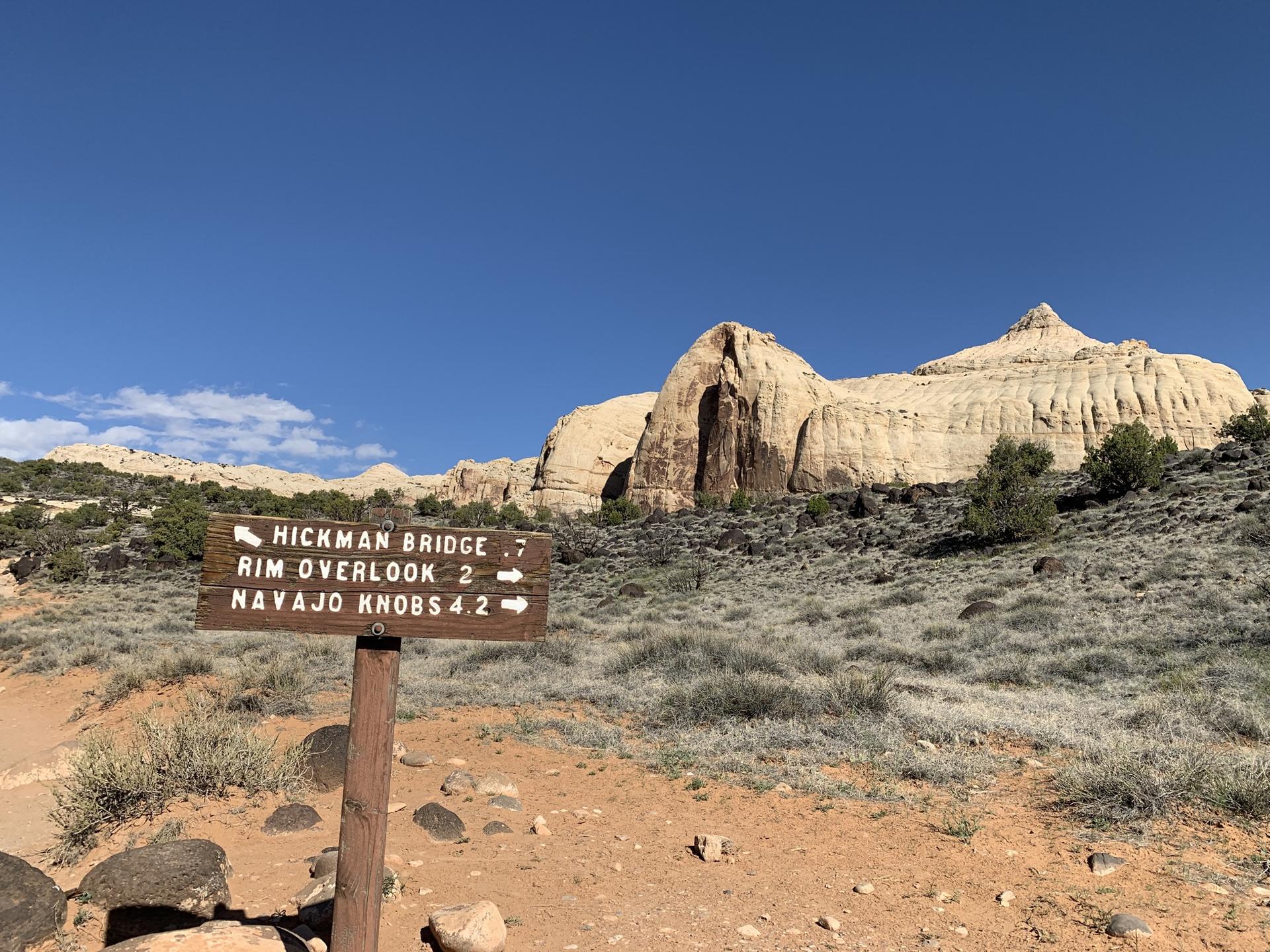 Wooden trail sign in a desert landscape with large light rock formations.