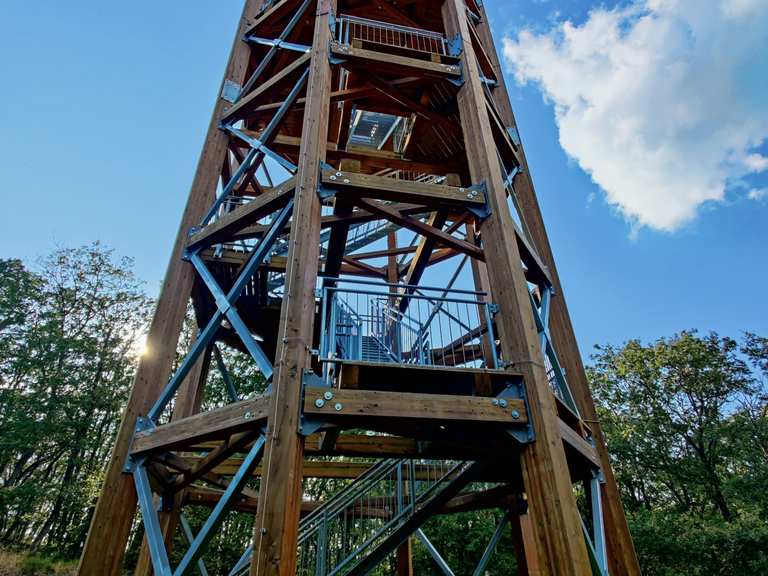 Aussichtsturm Fünfseenblick Wanderungen und Rundwege komoot