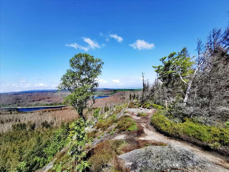 Gipfel des Scharfensteins: Wanderungen und Rundwege | komoot