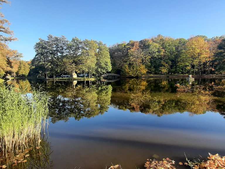 Gründelteich Glauchau Glauchauer Stausee Runde von Wernsdorf