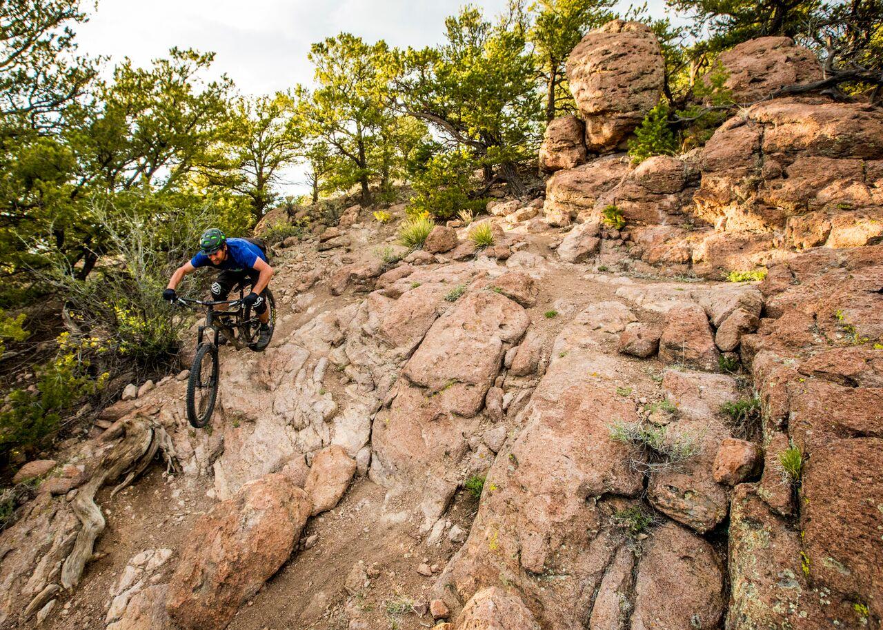 A person mountain biking down a steep, rocky, tree-lined path in bright light.