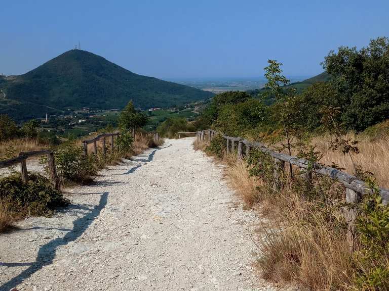 Pianoro del Mottolone MountainbikeTouren und Trails komoot