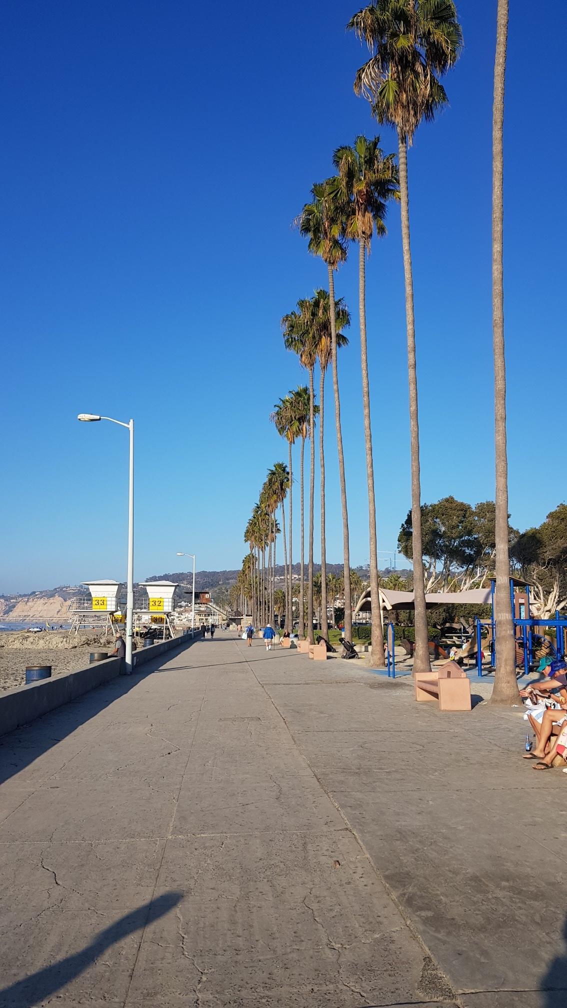 Palm trees line a paved boardwalk next to a beach on a sunny day.