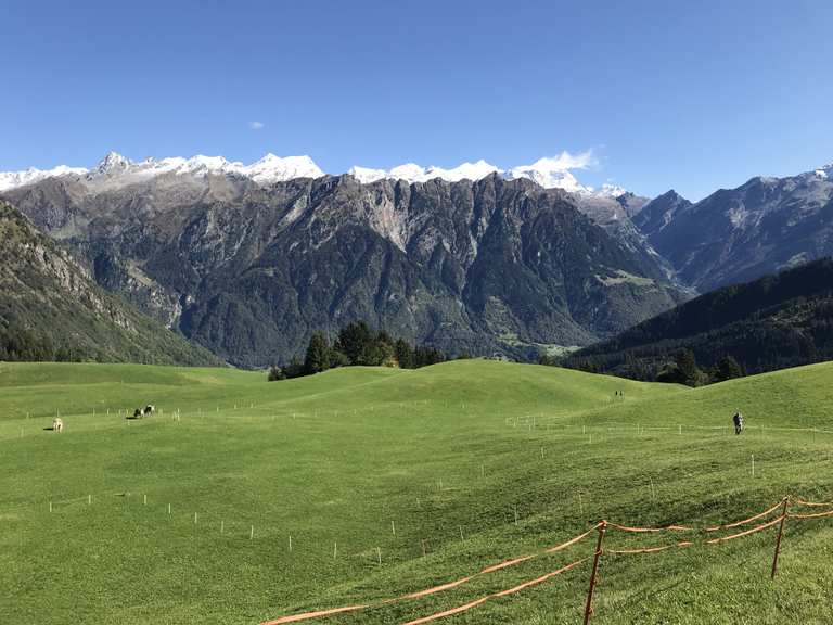 Da Camperio Alta verso Dötra - Giro ad anello | escursione | komoot