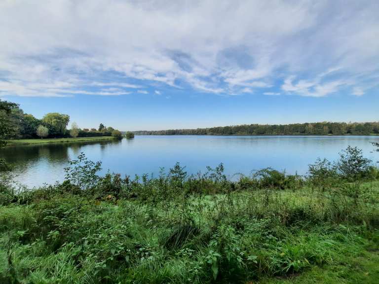 Dreiländersee am Hotel Seeblick Wanderungen und Rundwege komoot