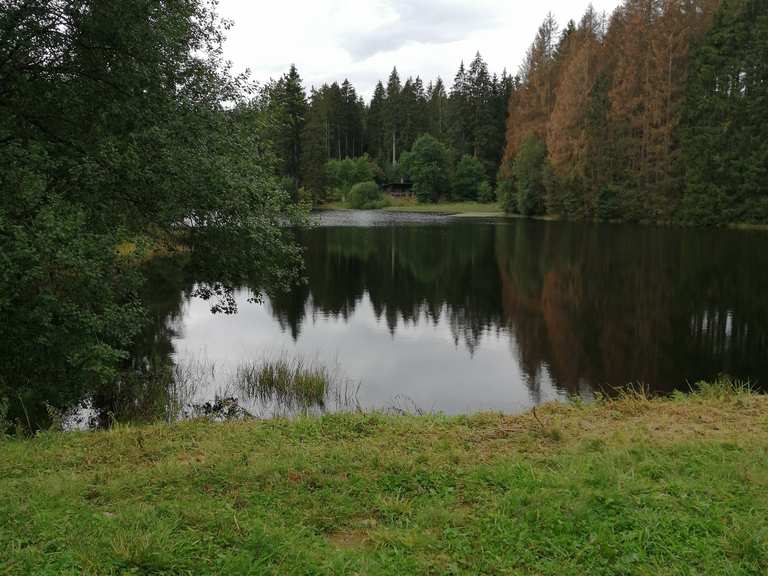 Unterer Hahnebalzer Teich Wanderungen und Rundwege komoot