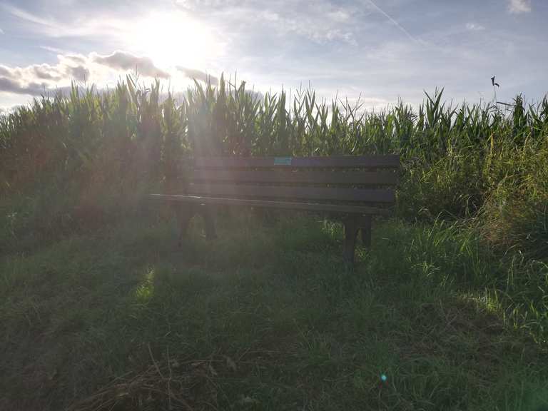 Bank mit super schöner Aussicht hinter Oberhorbach Radtouren und