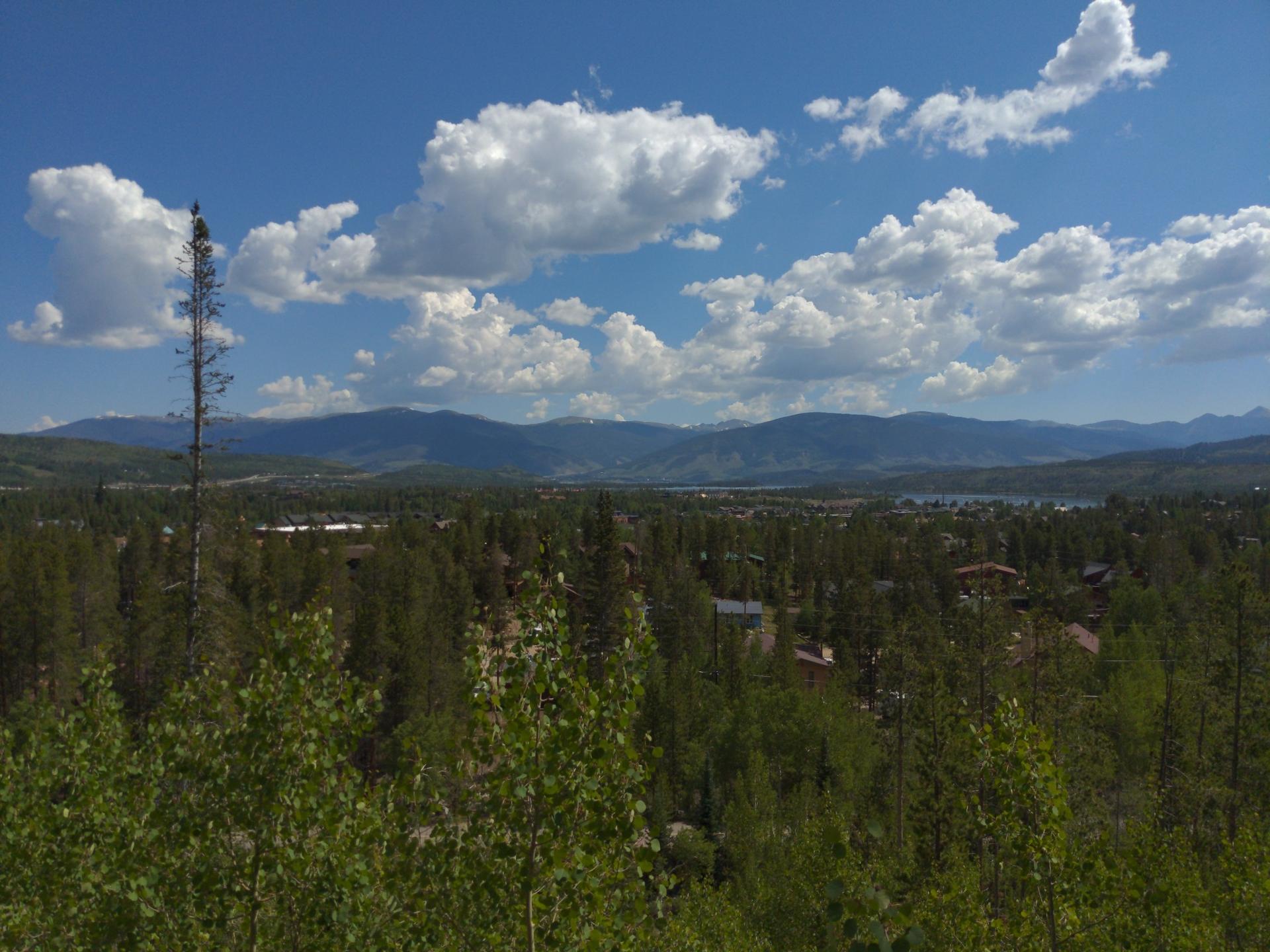Vast green forest and distant mountains under a bright blue sky.
