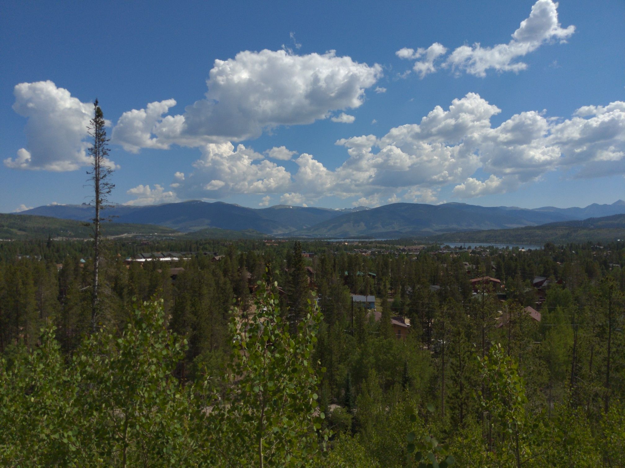 Vast green forest and distant mountains under a bright blue sky. - Mount Royal Loop