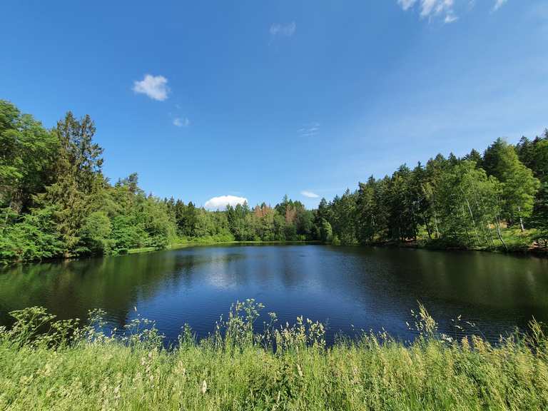 Bremer Teich Runde Wanderung Komoot