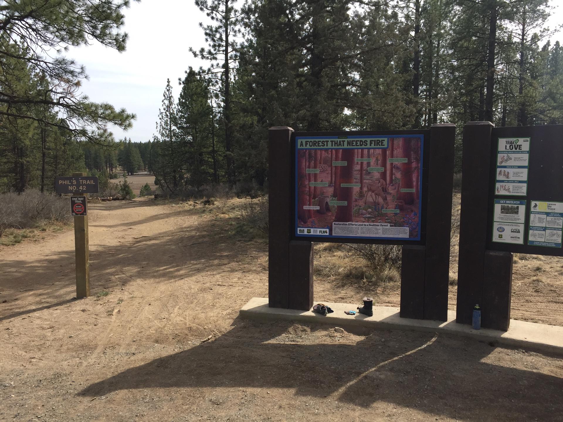 Information boards stand beside a dirt path in a sparse pine forest.