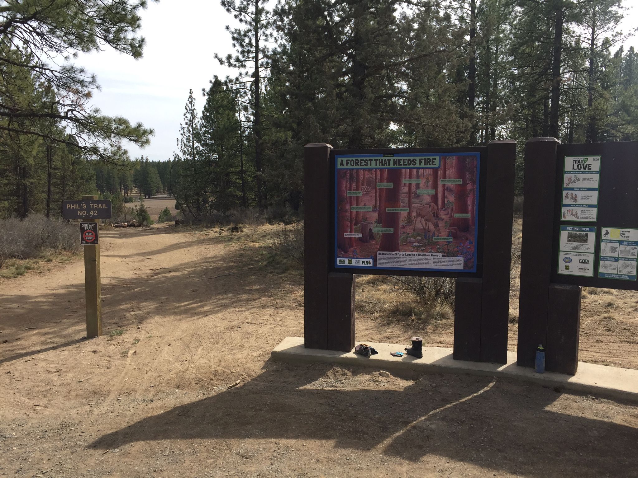 Information boards stand beside a dirt path in a sparse pine forest. - Marvin's, Phil's, and KGB Loop