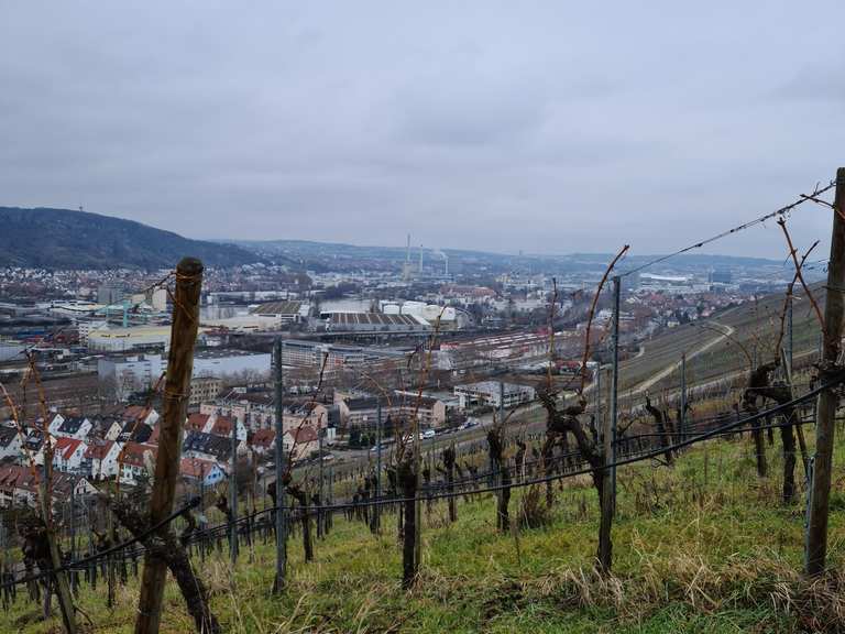 Stuttgart-Obertürkheim Routes for Walking and Hiking | Komoot