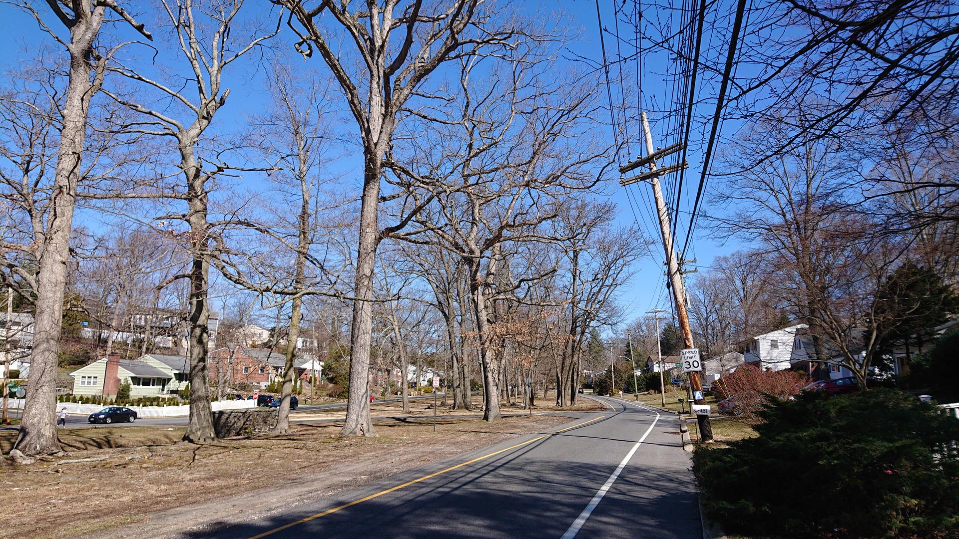 Suburban road lined with bare trees, utility poles, and distant houses under clear sky.