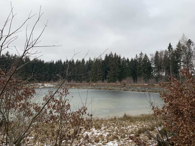 Heiliger Teich (im Moment Baustelle) Wanderungen und Rundwege komoot