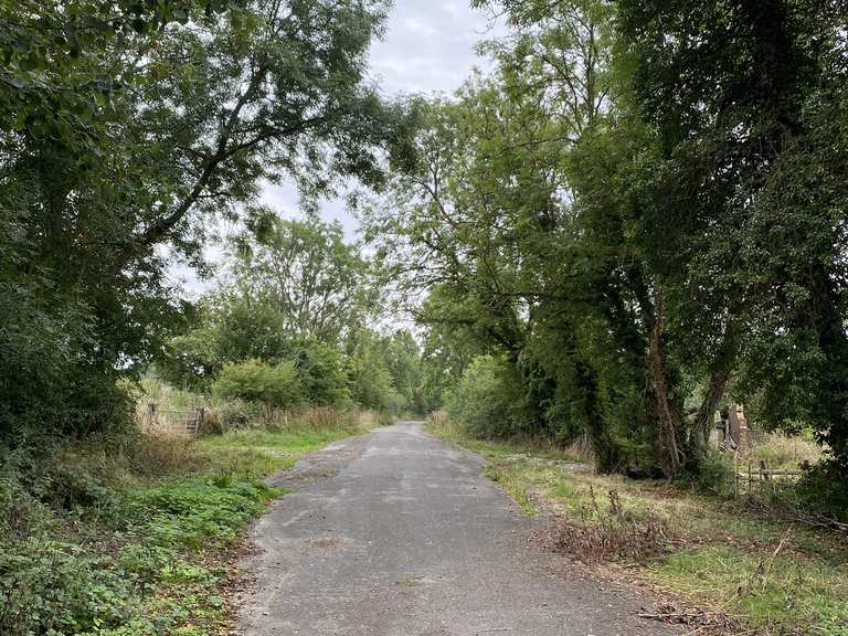 Lagoon 4 track Hambleton Peninsula Loop loop from ppingham bike