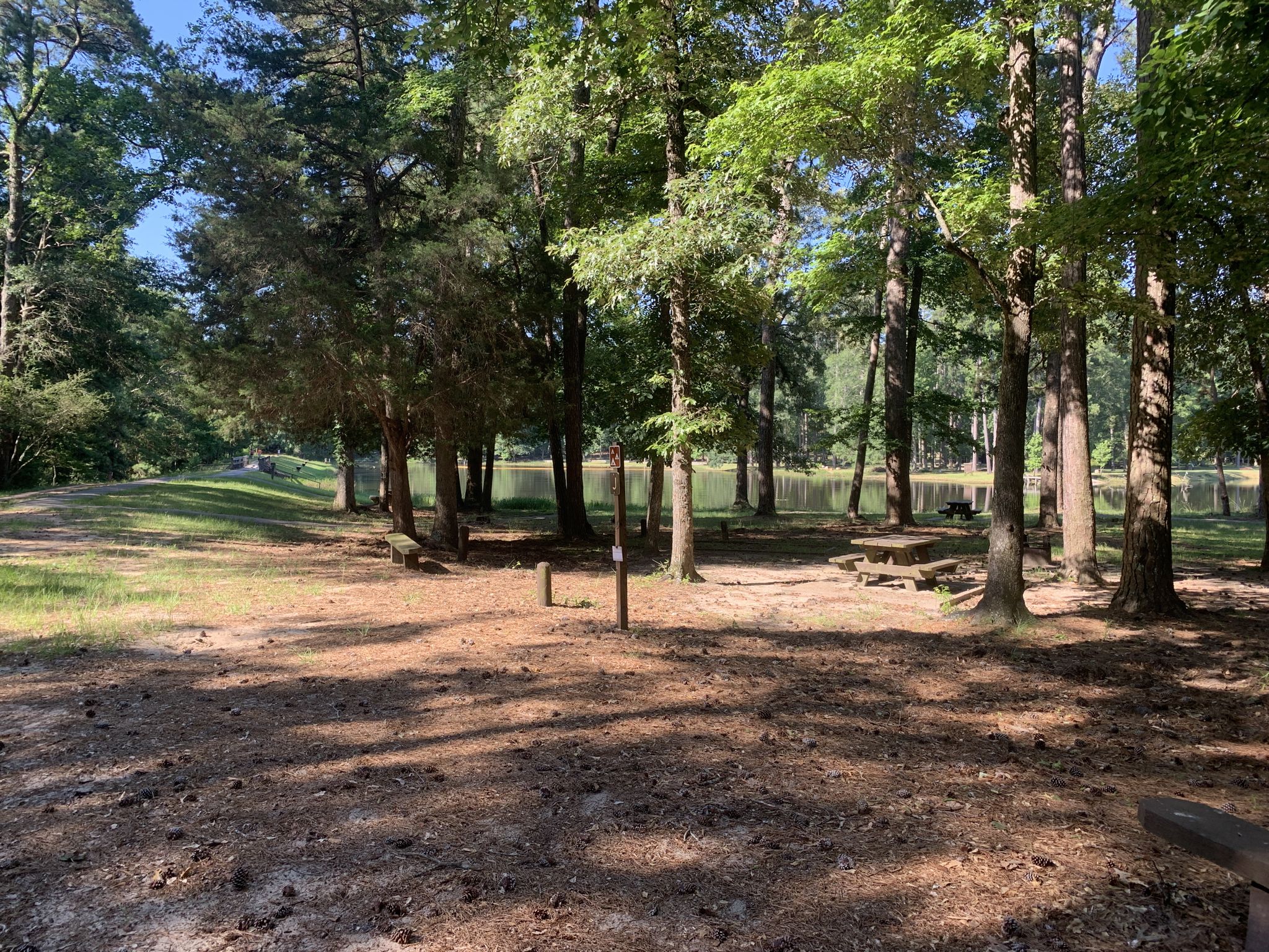 Shaded forest clearing with picnic tables overlooking a calm lake. - Lone Star Hiking Trail: Magnolia Section