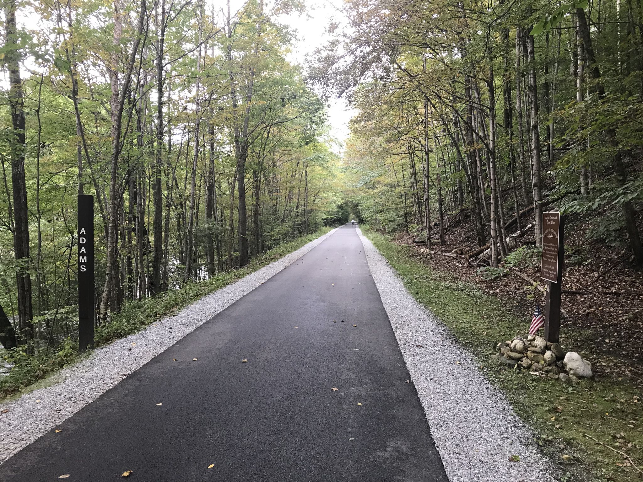 Long paved path through a dense, green forest on an overcast day. - Cheshire Reservoir – Ashuwillticook Rail Trail Head loop from Western District HQ