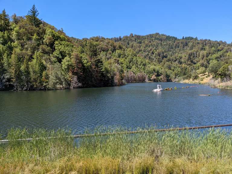 Mt Tam Watershed East Loop Phoenix Lake Lake Lagunitas Eldridge Grade Indian Fire Road 🚵