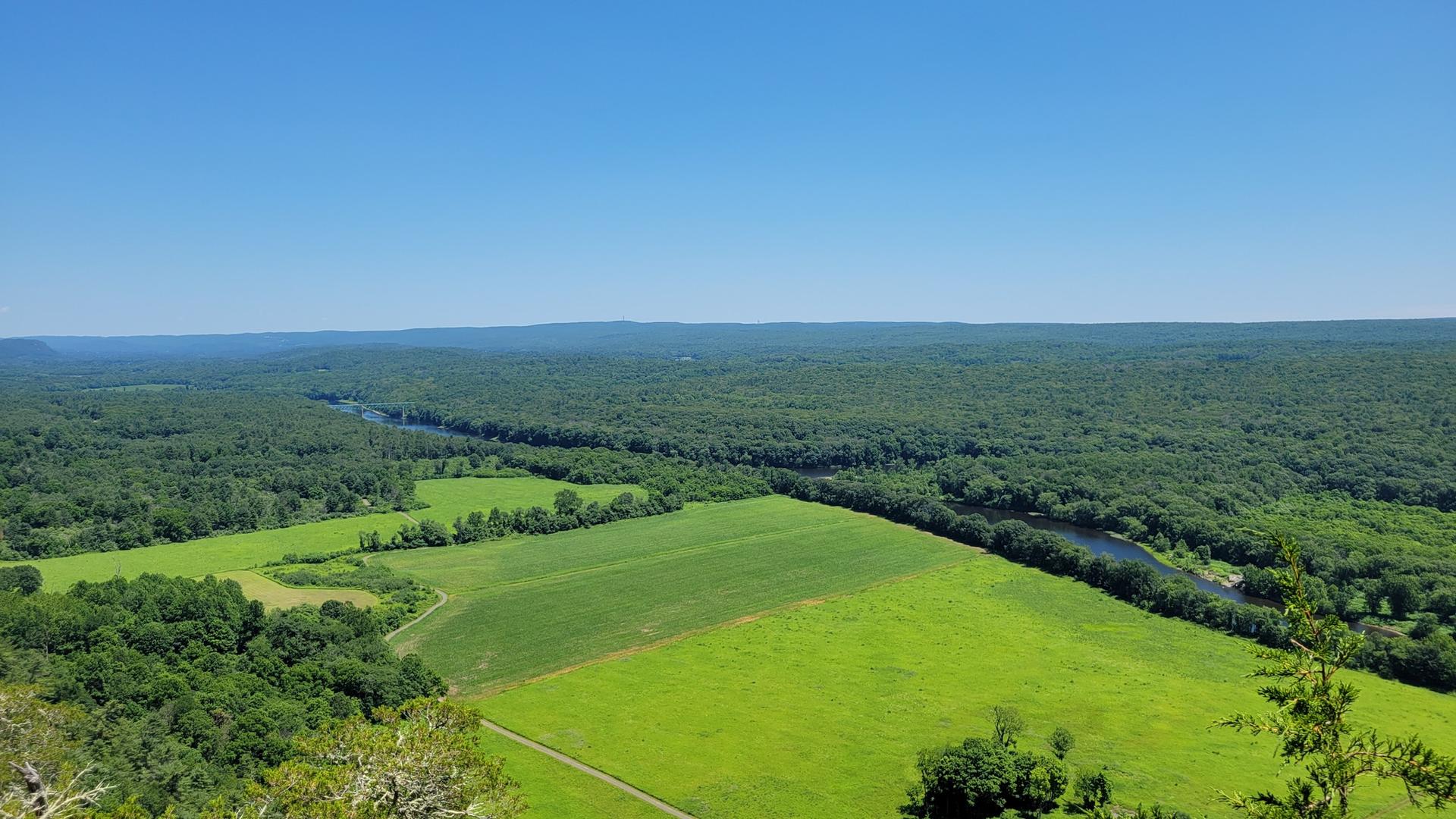 Expansive green fields and dense forest alongside a river under clear sky.