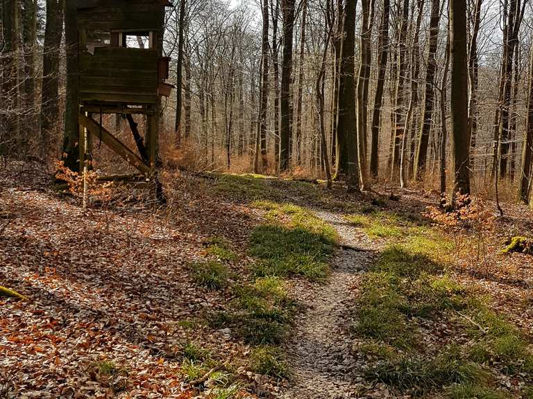 Sch ne abfahr mit garanierter schlampackung mountain bike trails