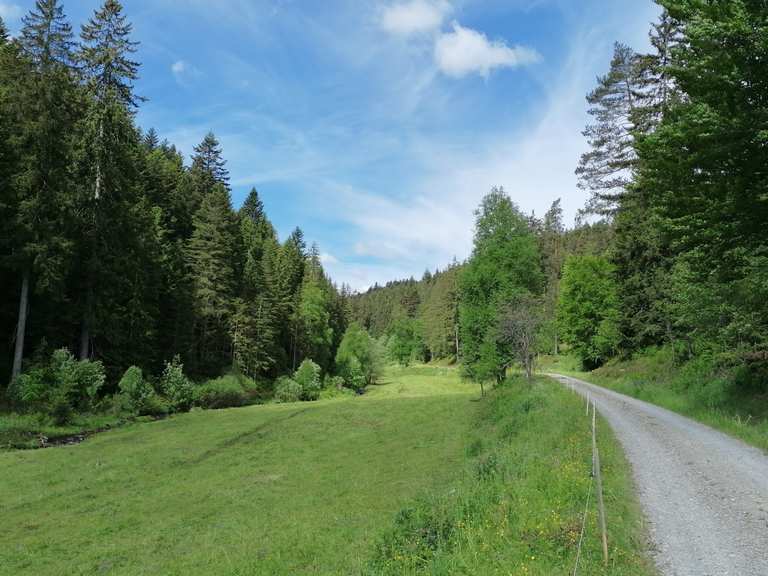 Idyllisches Tal Routes for Walking and Hiking Komoot