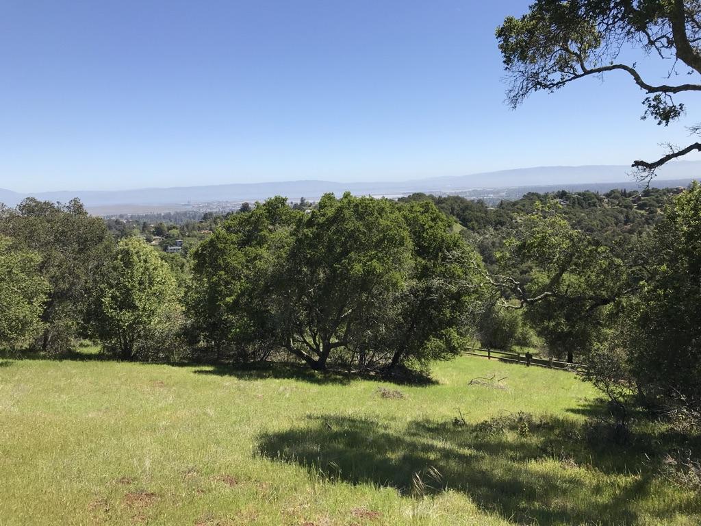 A bright green meadow with scattered trees under a clear blue sky.
